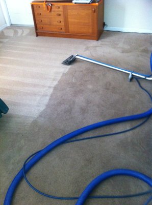 Great carpet cleaning results