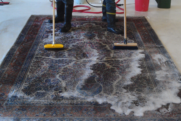 ACU experts have designed methods for cleaning area rugs of all kinds of fibers and materials